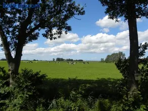 B&b Hoogholtje - Image 4
