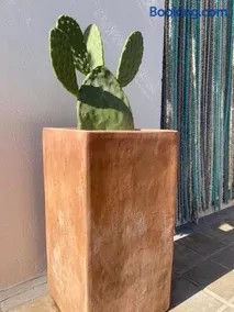 CASA DEL PEZ Vivienda a pie de calle en Agua Amarga a 250 metros de la playa - Image 3