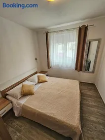 Apartments Plejic - Image 4