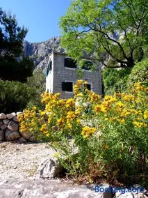 Holiday Home Dalmatinska Kuća - Image 1
