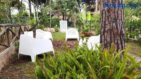 Villino Sunshine S8989 - Image 2