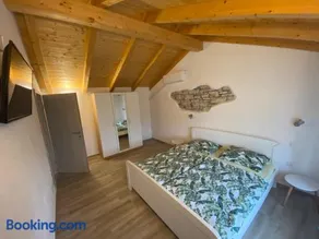 House Carla Belavici - Image 1