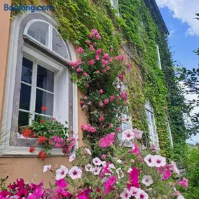 Apartments in Villa Crusca - Image 4