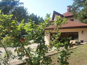 Saulesdarzs - Image 2