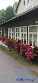 Gasthaus Pension Bretthäusl - Image 2