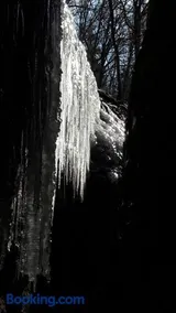 Sängerwiese - Image 4