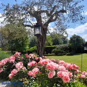Villa la provenzale - Image 2