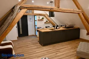 Superbe Loft à Arcis sur aube - Image 1