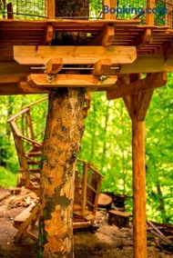 Treehouse pod Jestedem - Image 5