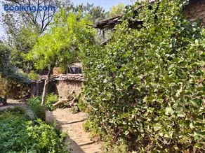 Shiv Gopal Home stay - Image 1