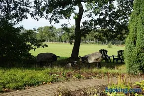 Saksisch Boerderijtje - Image 4