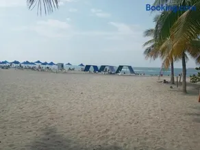 Ocean club - Image 4