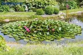 Uns Droomhus - Image 2