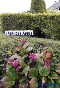 L'ABRI des ÂMES - Image 2