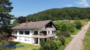 Villa Schwarzwaldblick - Image 2
