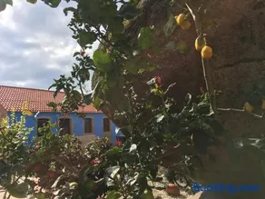 Casa Nicolás - Image 2