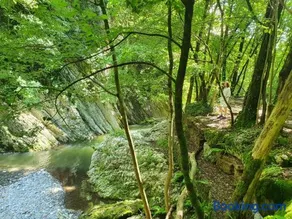 Belverde al Lago - Image 2