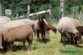 Yourte mongole insolite en pleine nature - Image 4
