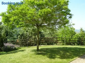 Agriturismo Collesassi - Image 5
