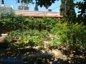 Lemon Tree Home - Image 3