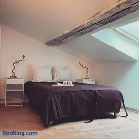 Nancy appartement en triplex plein centre - Image 3