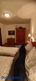 Ferienwohnung Hager Kuchl - Image 5