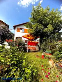 Casa Camelia - Image 3