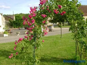 Gîte en Touraine: Campagne, 3 Chambres, Près de Chenonceau - Image 3