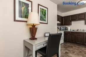Luxurious 2 bedroom near Innisbrook Golf Resort! - Image 3