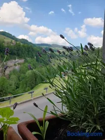 Urgemütliche Ferienwohnung, zentral und doch ruhig - Image 2