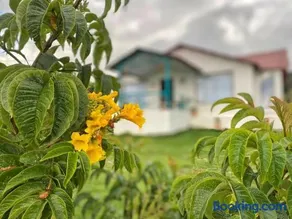 Casa Campestre Sua Meca Guatavita - Image 4