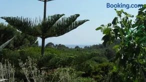 Villa Carpe Diem - Image 2