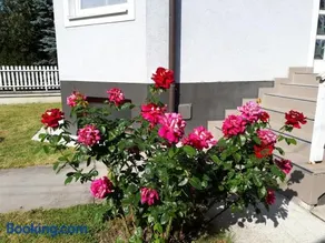Blue House - Image 3