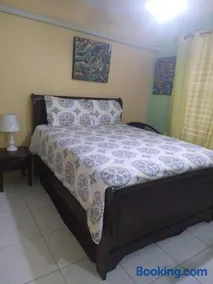 Elegant & Stylish 2BR New Kingston - Image 1