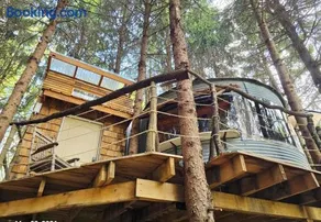 Bin There Treehouse, a grain bin treehouse! - Image 2