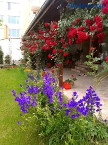 Todorovi Guest House - Image 5