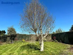 Cullen House - Image 2