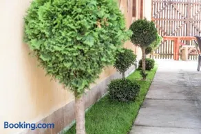 Vila Jun - Image 3