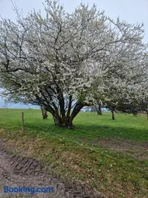 Rieplhof - Image 2