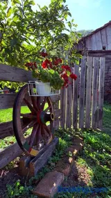 Authentic Transylvanian Country House - Image 2