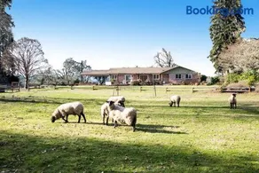 Four Wheels Farm - Image 2