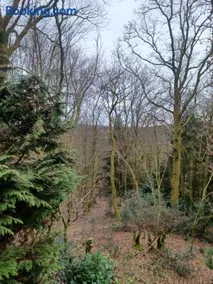 vogelzang - Image 4