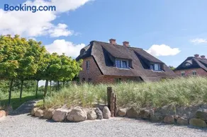 Grosse Lachmöwe - Image 1
