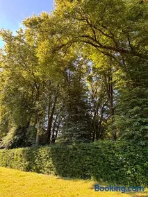 Sous les Tilleuls - Image 2