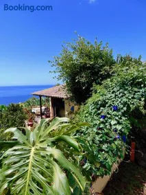 Casa Rosa - Image 1