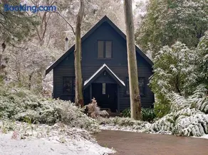 Wondernest, Blue Mountains - Image 3