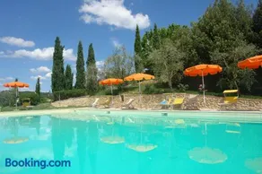 Giaggiolo - Image 2