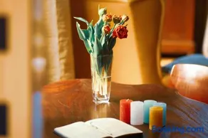 Tulpenhuys - Image 2
