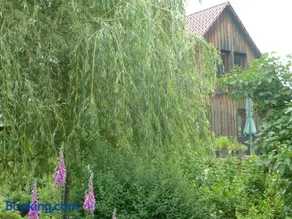 Ferienwohnung Lotti - Image 1