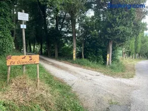 Le Giuncaie - Vigna con alloggio - Image 2